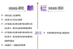 屌操网非评估类项目发展历程